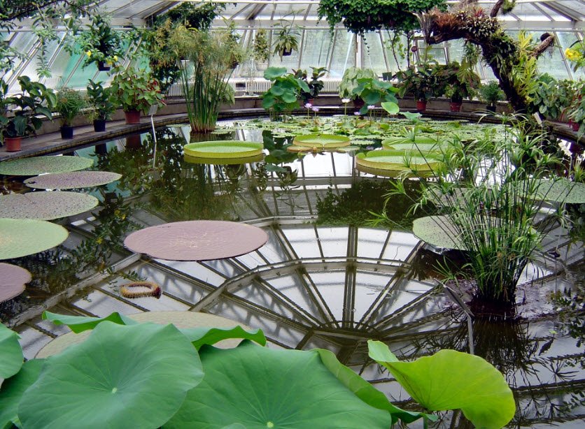 Arboretum Lohbrügge, Hamburg, Germany, Germany
